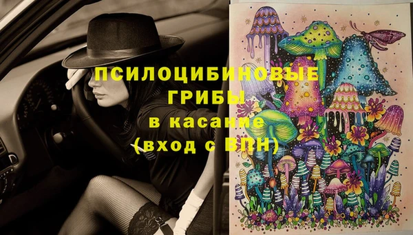 стафф Приозерск